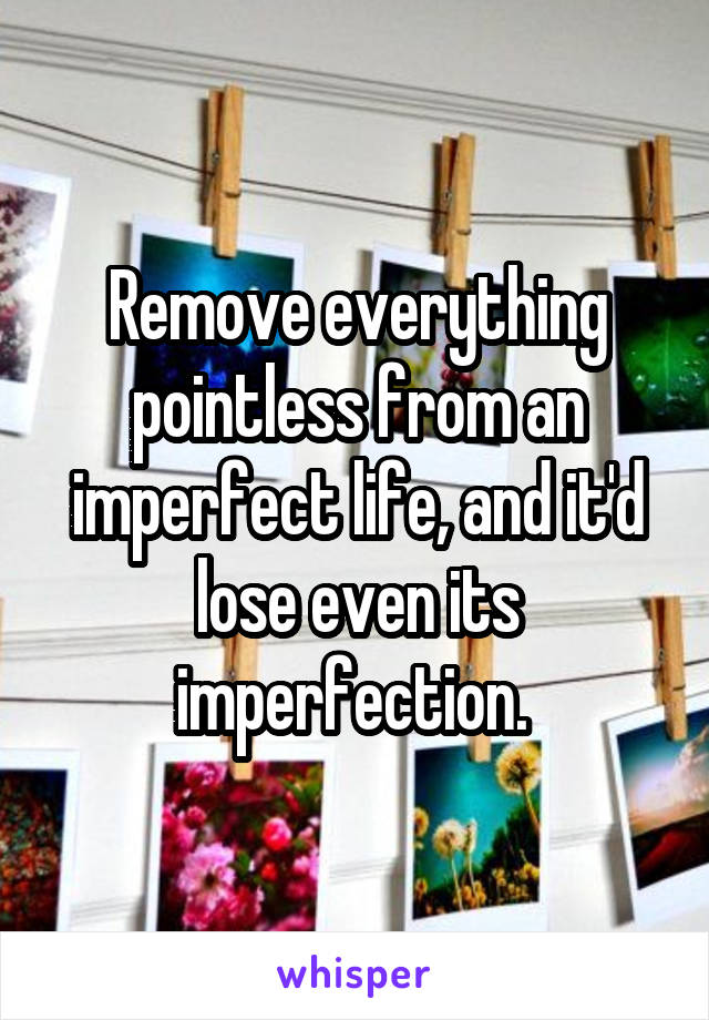 Remove everything pointless from an imperfect life, and it'd lose even its imperfection. 