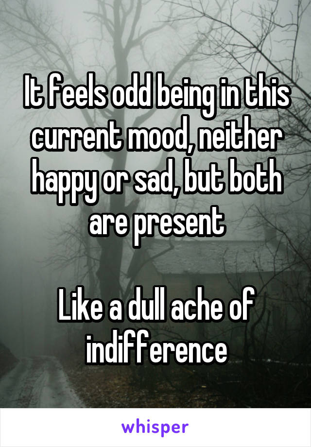 It feels odd being in this current mood, neither happy or sad, but both are present

Like a dull ache of indifference