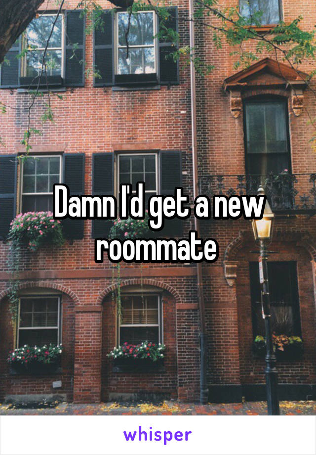 Damn I'd get a new roommate 