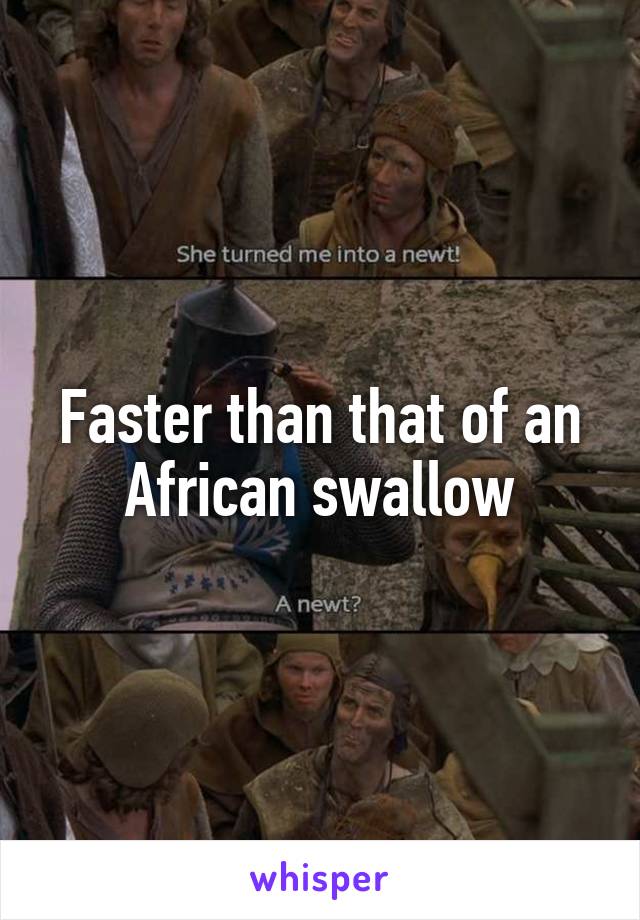 Faster than that of an African swallow