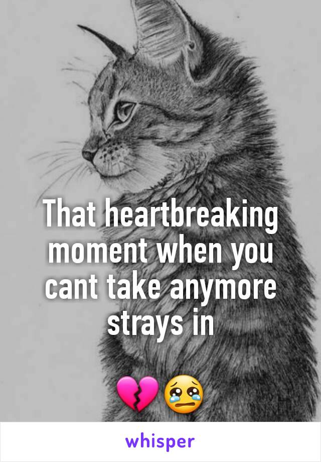 That heartbreaking moment when you cant take anymore strays in

💔😢