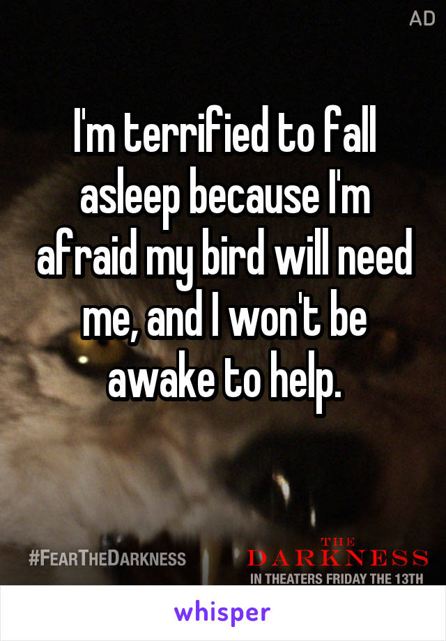 I'm terrified to fall asleep because I'm afraid my bird will need me, and I won't be awake to help.

