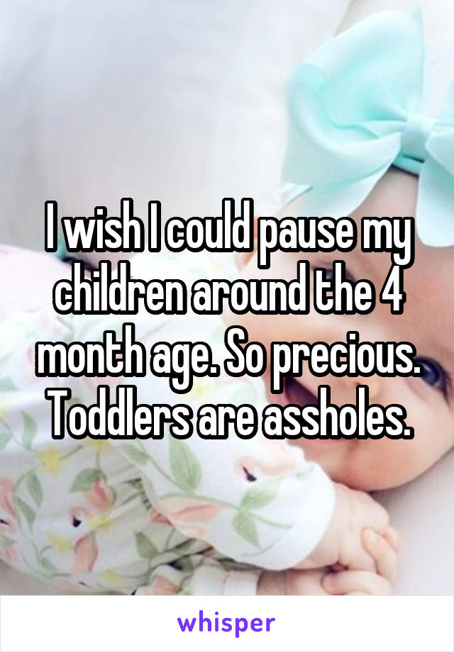 I wish I could pause my children around the 4 month age. So precious.
Toddlers are assholes.