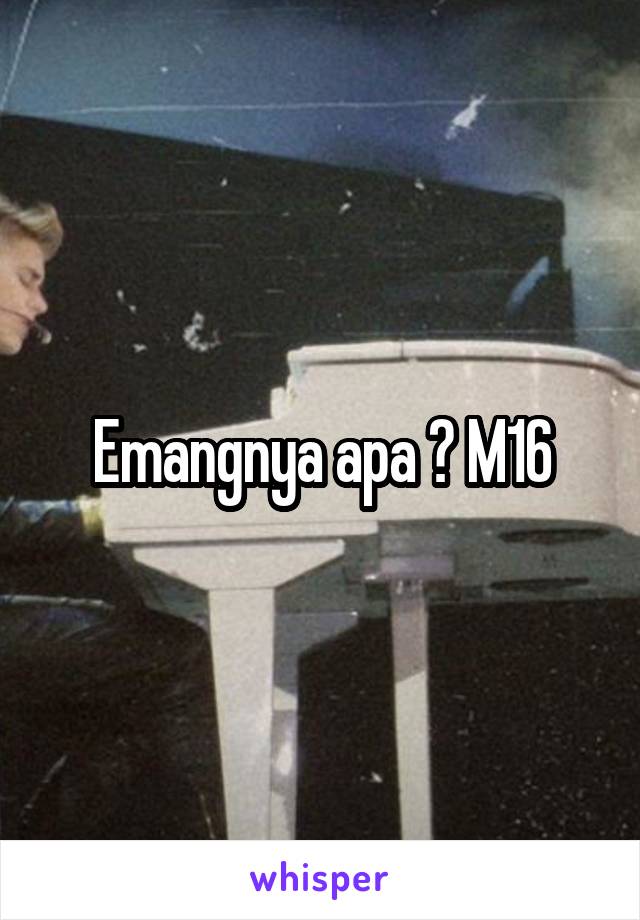 Emangnya apa ? M16