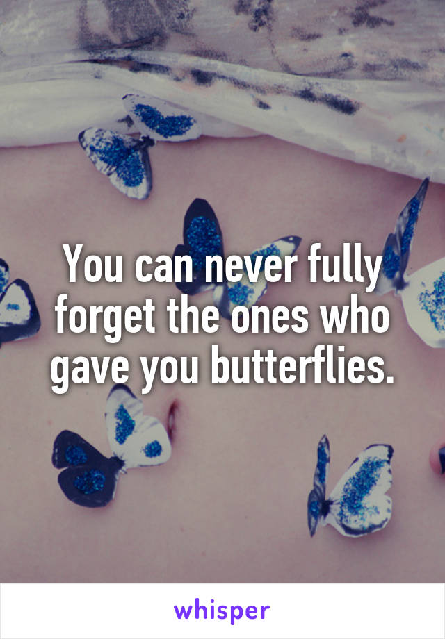 You can never fully forget the ones who gave you butterflies.