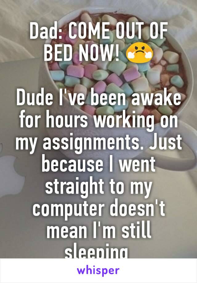 Dad: COME OUT OF BED NOW! 😤

Dude I've been awake for hours working on my assignments. Just because I went straight to my computer doesn't mean I'm still sleeping 