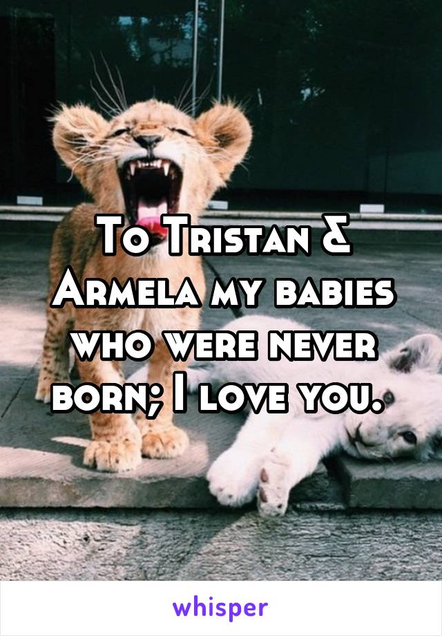 To Tristan & Armela my babies who were never born; I love you. 