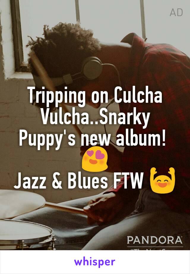 Tripping on Culcha Vulcha..Snarky Puppy's new album! 
😍
Jazz & Blues FTW 🙌