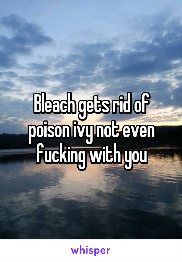 Bleach gets rid of poison ivy not even fucking with you