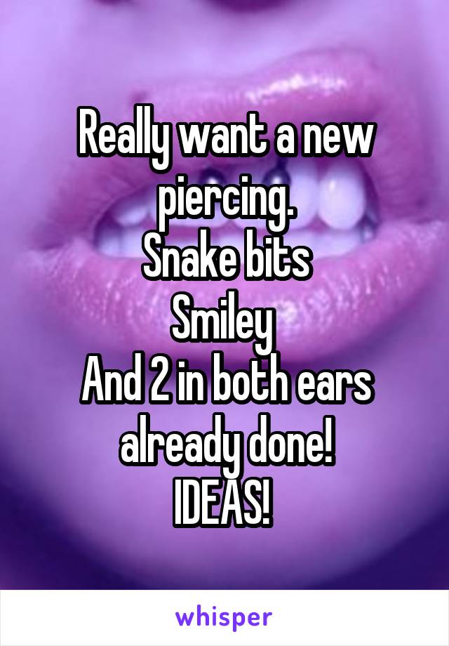 Really want a new piercing.
Snake bits
Smiley 
And 2 in both ears already done!
IDEAS! 