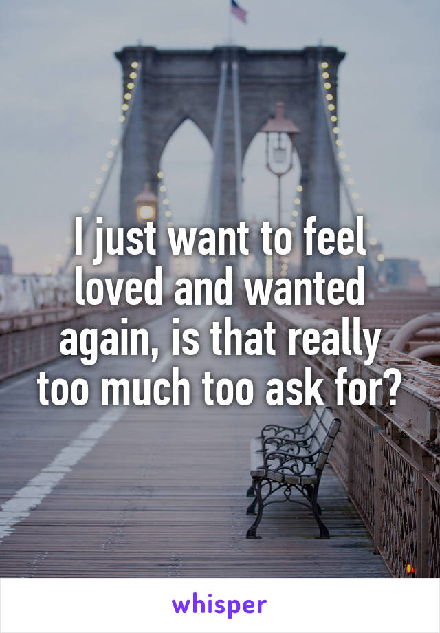 I just want to feel loved and wanted again, is that really too much too ask for?