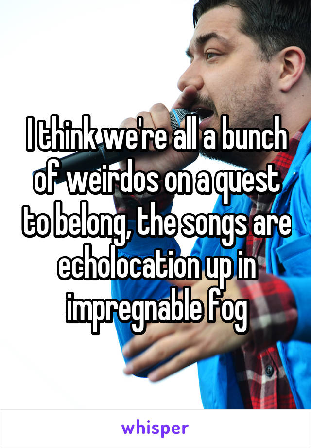 I think we're all a bunch of weirdos on a quest to belong, the songs are echolocation up in impregnable fog