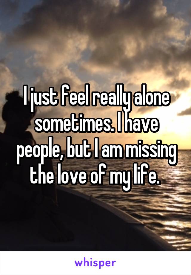 I just feel really alone sometimes. I have people, but I am missing the love of my life. 