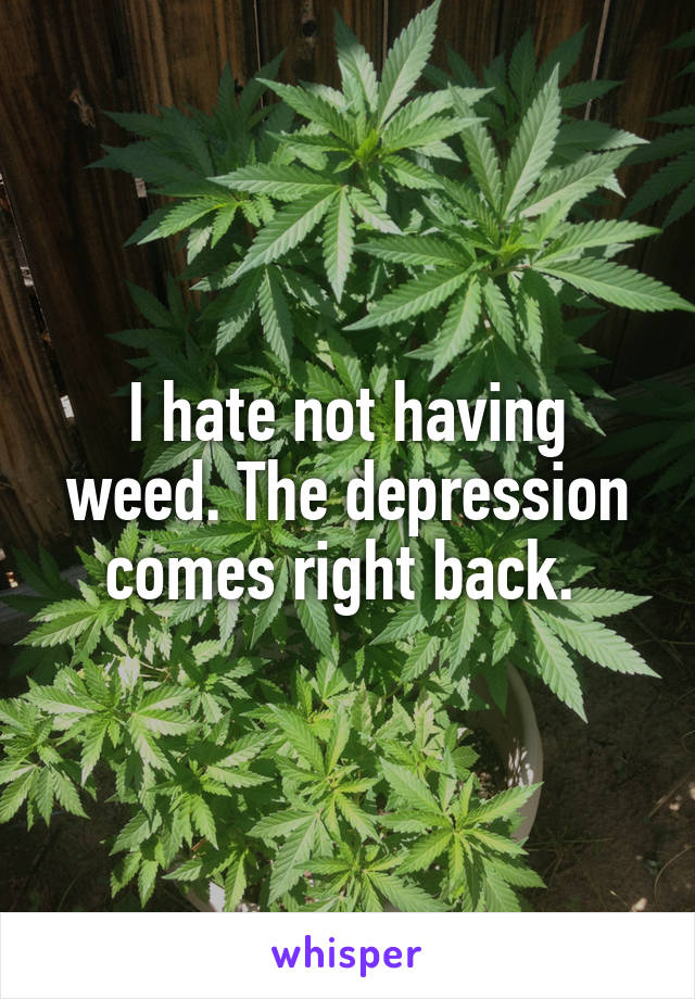 I hate not having weed. The depression comes right back. 