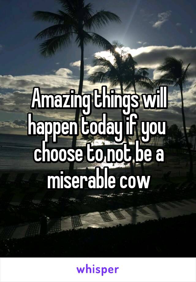 Amazing things will happen today if you  choose to not be a miserable cow