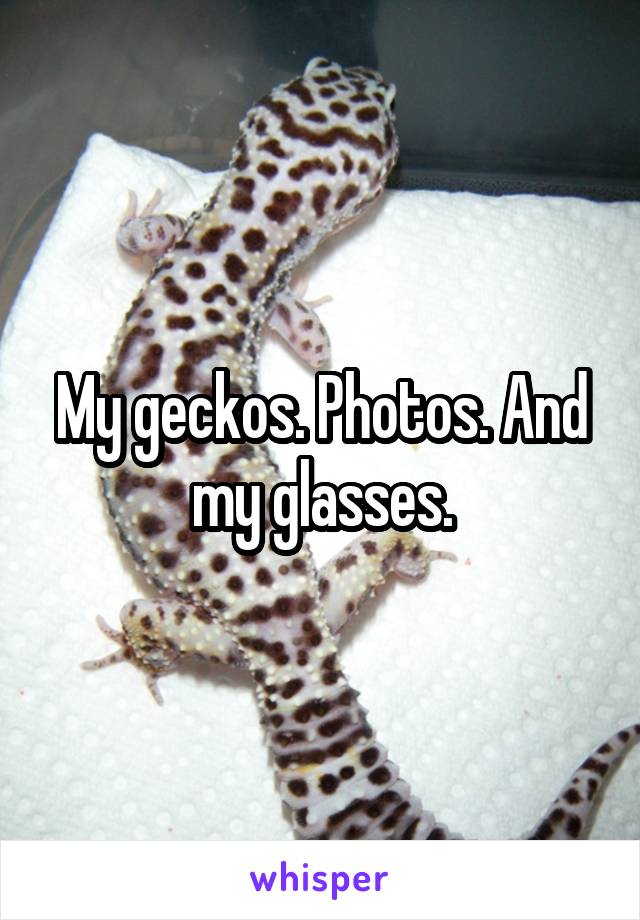 My geckos. Photos. And my glasses.