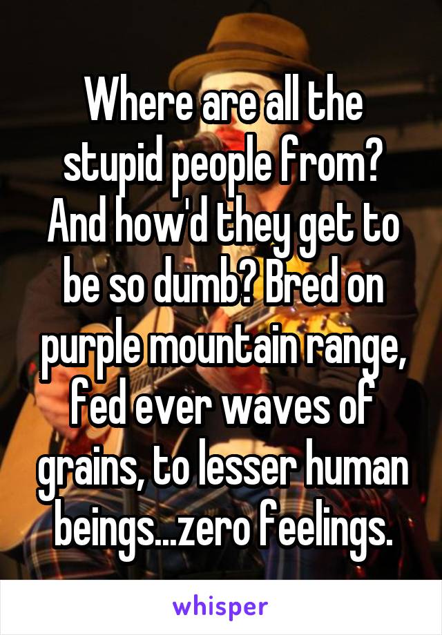 Where are all the stupid people from? And how'd they get to be so dumb? Bred on purple mountain range, fed ever waves of grains, to lesser human beings...zero feelings.