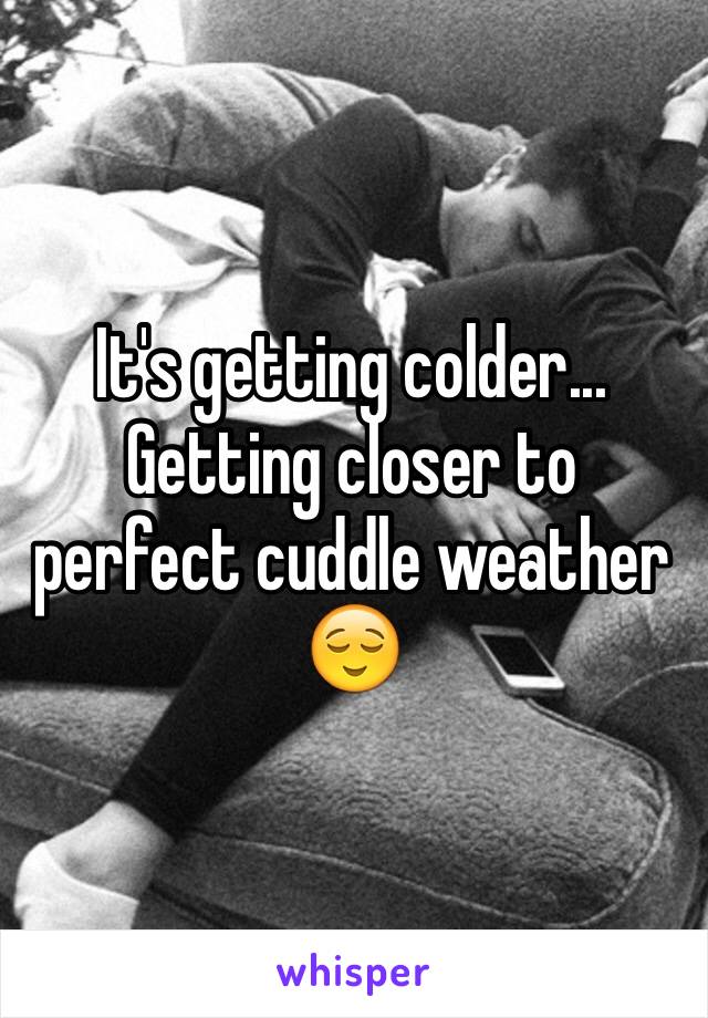 It's getting colder... Getting closer to perfect cuddle weather 😌