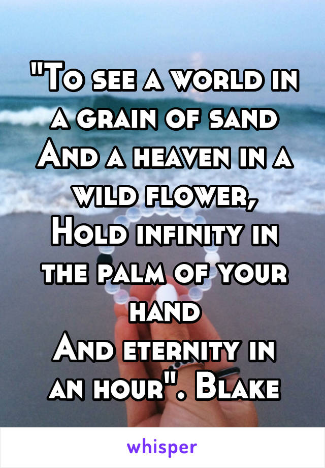 "To see a world in a grain of sand
And a heaven in a wild flower,
Hold infinity in the palm of your hand
And eternity in an hour". Blake