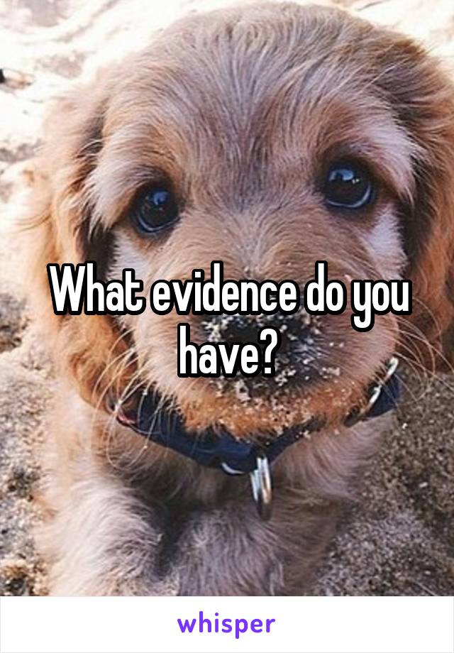 What evidence do you have?