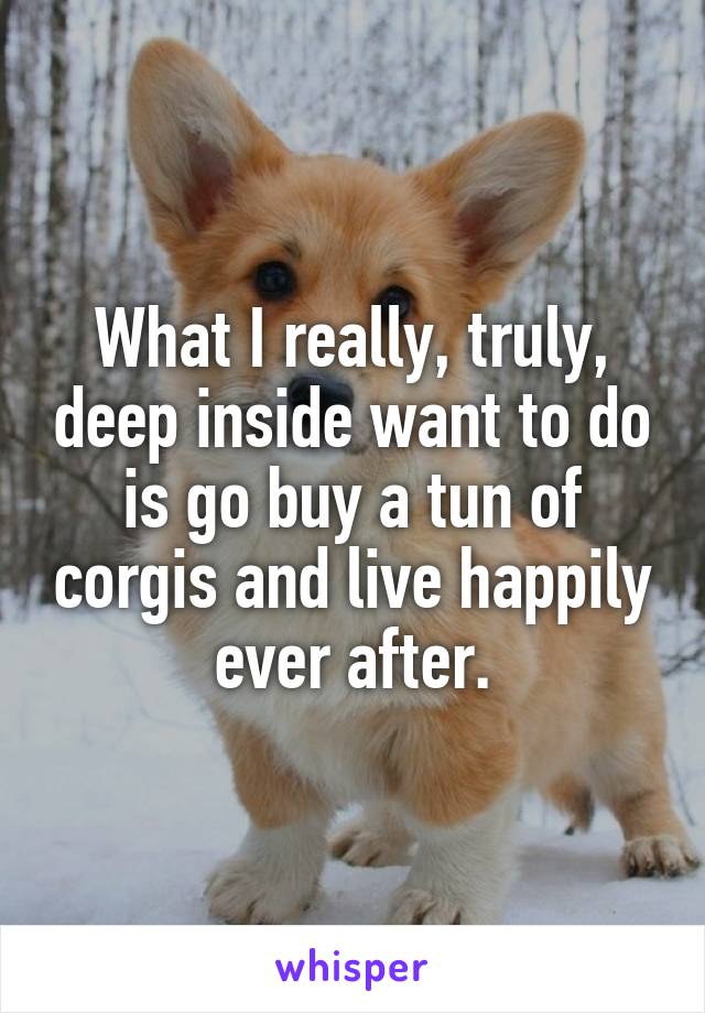 What I really, truly, deep inside want to do is go buy a tun of corgis and live happily ever after.