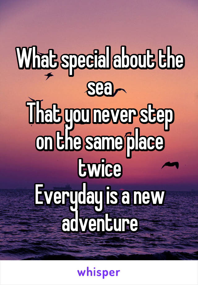 What special about the sea
That you never step on the same place twice
Everyday is a new adventure