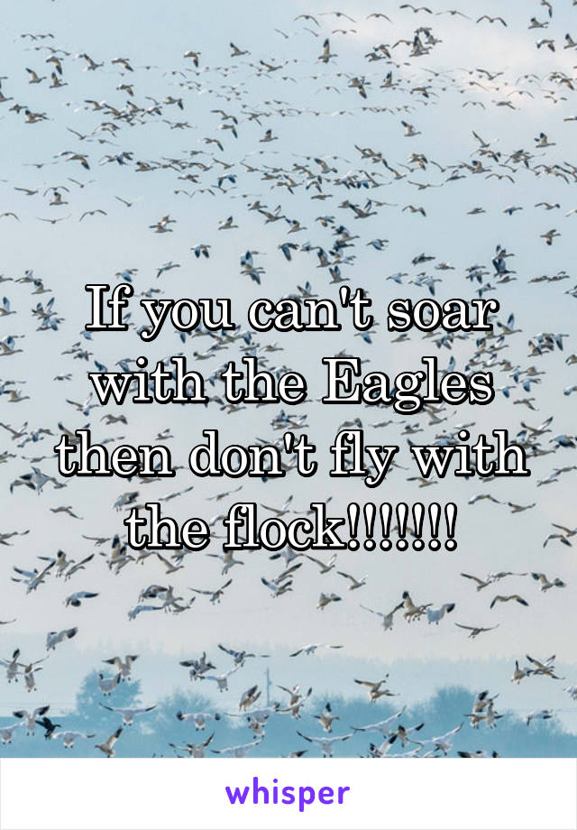 If you can't soar with the Eagles then don't fly with the flock!!!!!!!