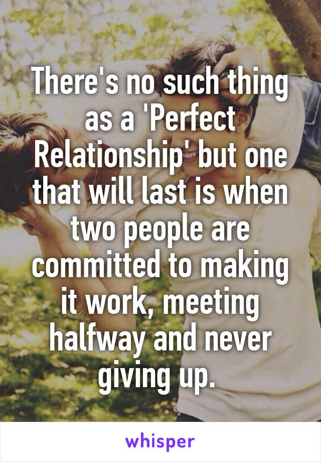 There's no such thing as a 'Perfect Relationship' but one that will last is when two people are committed to making it work, meeting halfway and never giving up. 