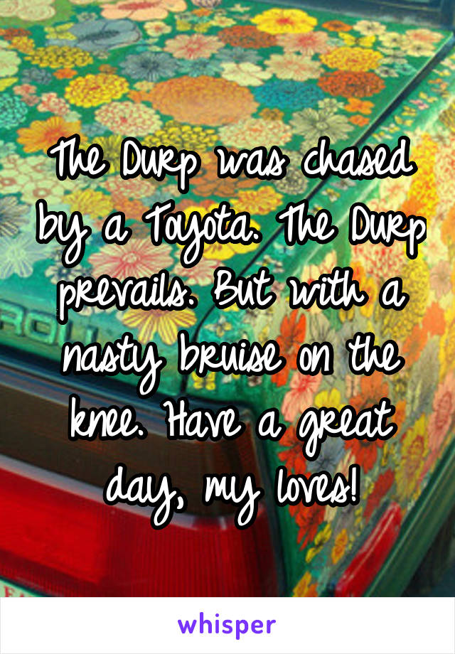 The Durp was chased by a Toyota. The Durp prevails. But with a nasty bruise on the knee. Have a great day, my loves!