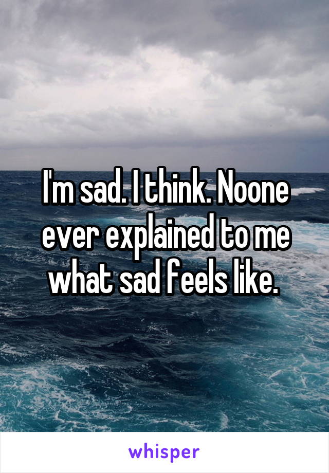 I'm sad. I think. Noone ever explained to me what sad feels like. 