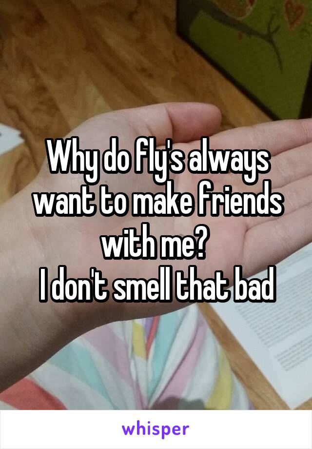 Why do fly's always want to make friends with me? 
I don't smell that bad