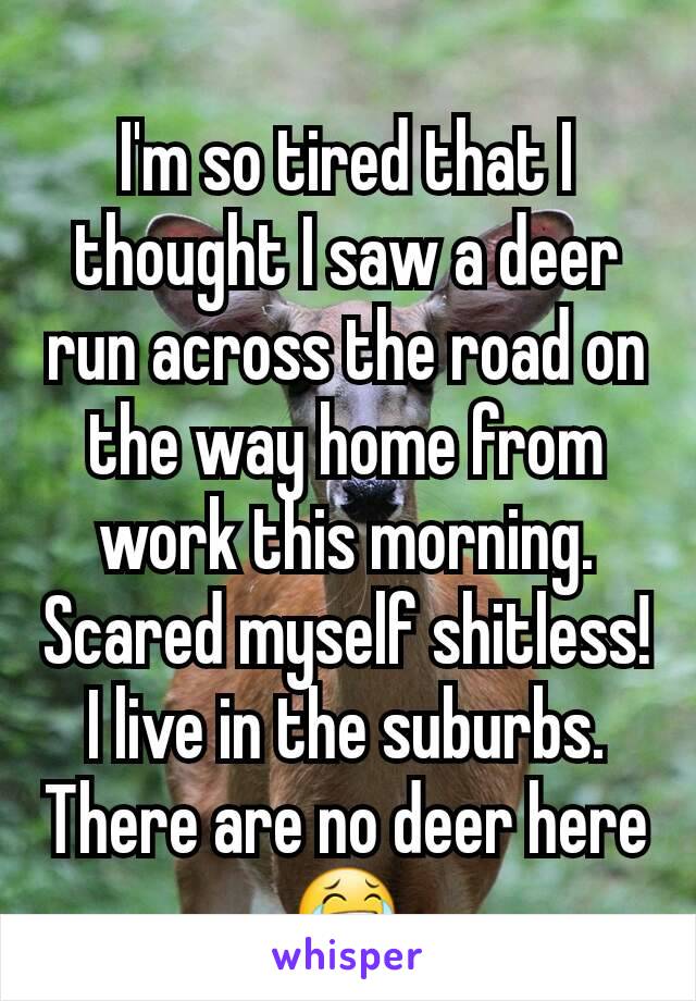 I'm so tired that I thought I saw a deer run across the road on the way home from work this morning. Scared myself shitless! I live in the suburbs. There are no deer here 😂