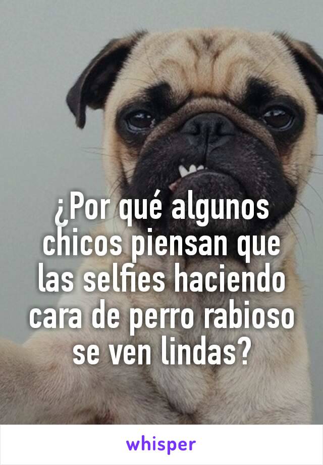 ¿Por qué algunos chicos piensan que las selfies haciendo cara de perro rabioso se ven lindas?