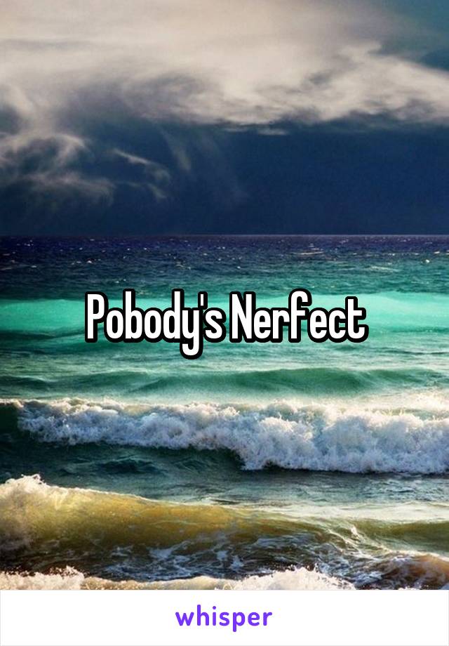 Pobody's Nerfect