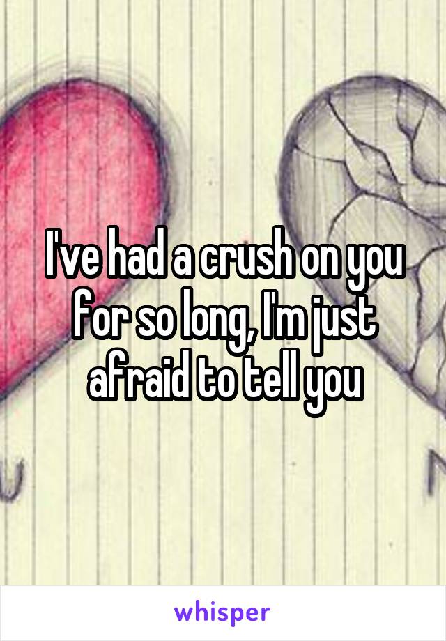 I've had a crush on you for so long, I'm just afraid to tell you