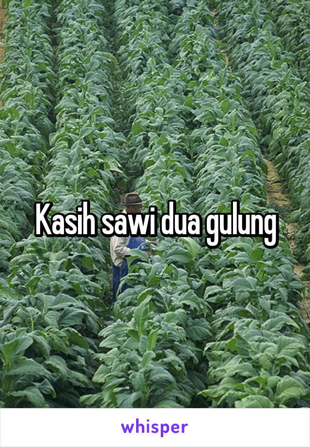 Kasih sawi dua gulung