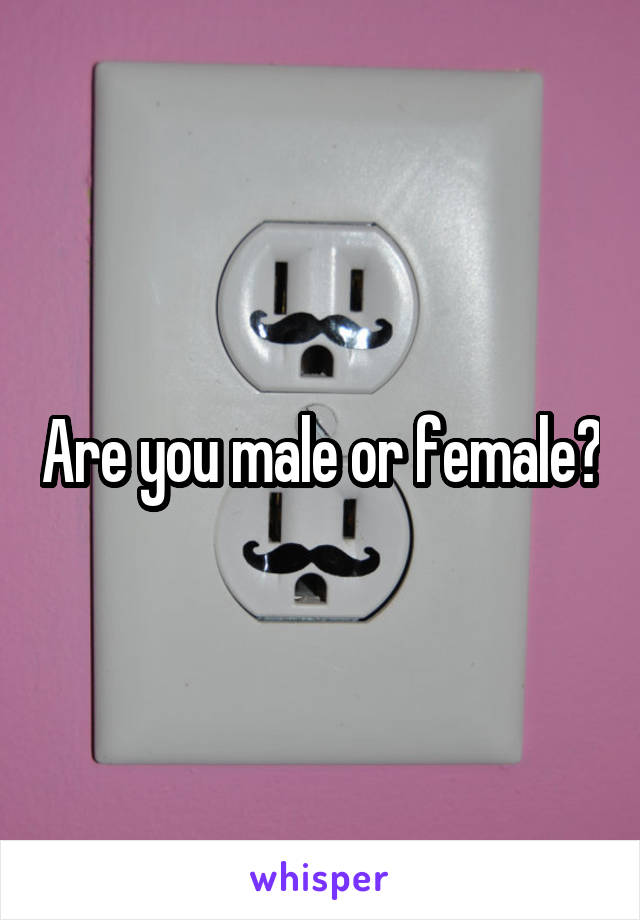 Are you male or female?