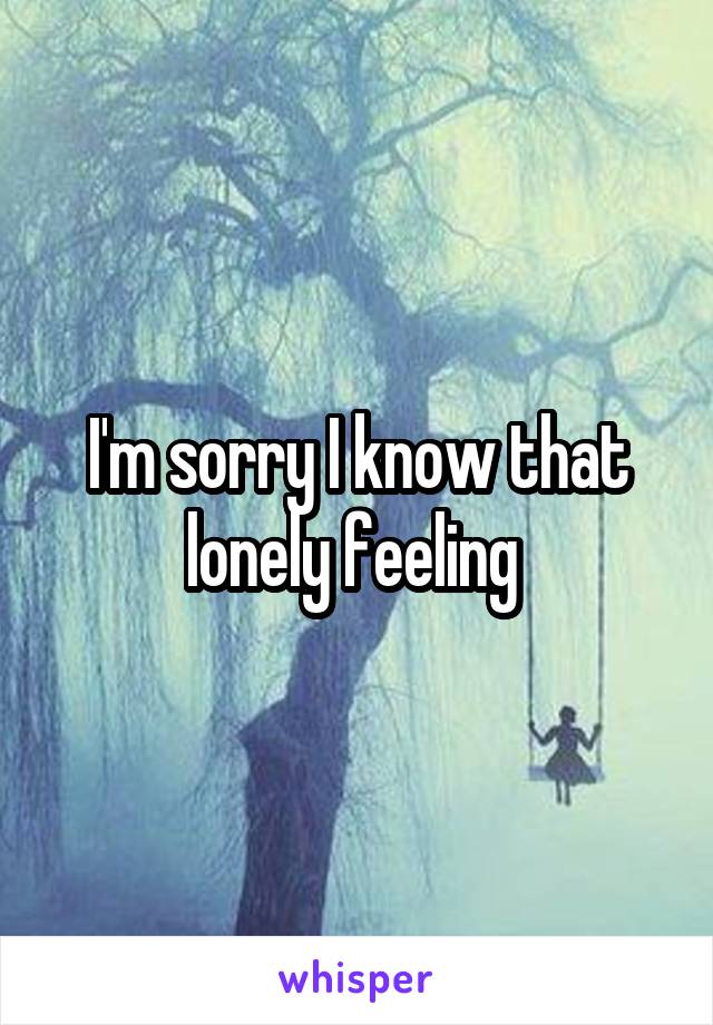 I'm sorry I know that lonely feeling 