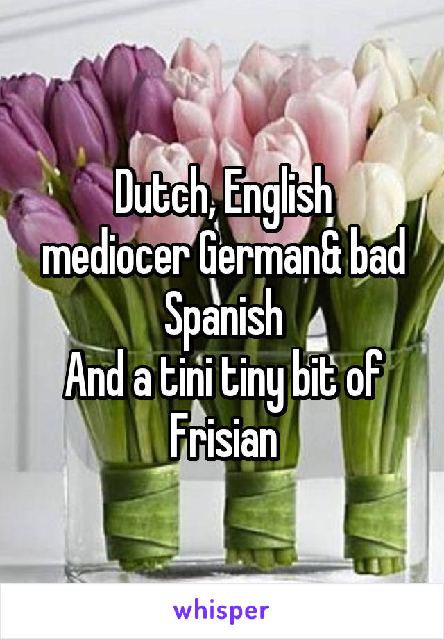 Dutch, English
mediocer German& bad Spanish
And a tini tiny bit of Frisian