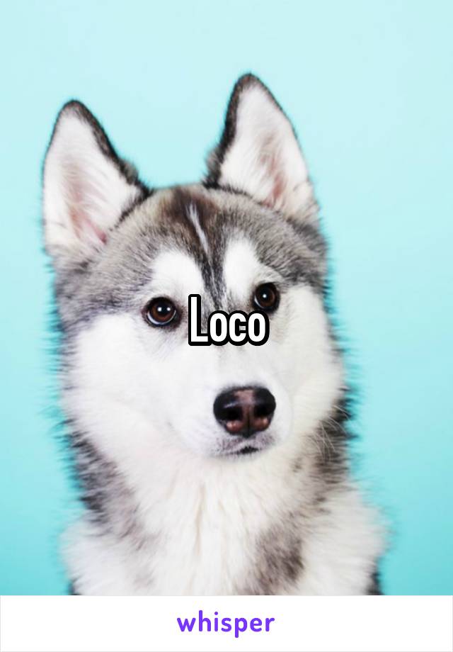 Loco