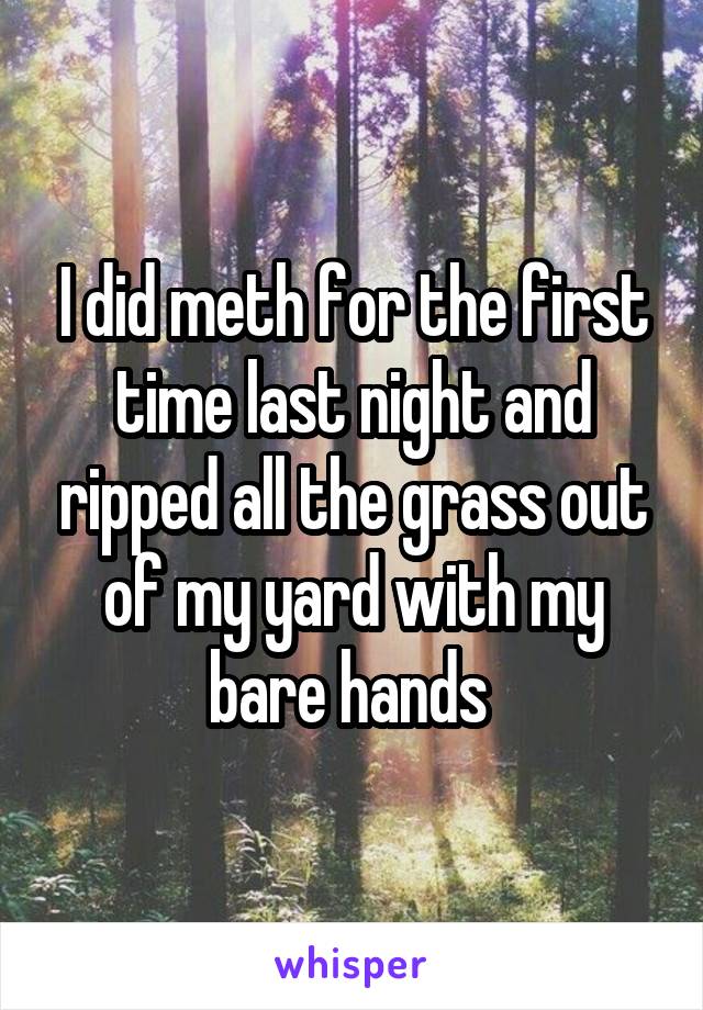 I did meth for the first time last night and ripped all the grass out of my yard with my bare hands 