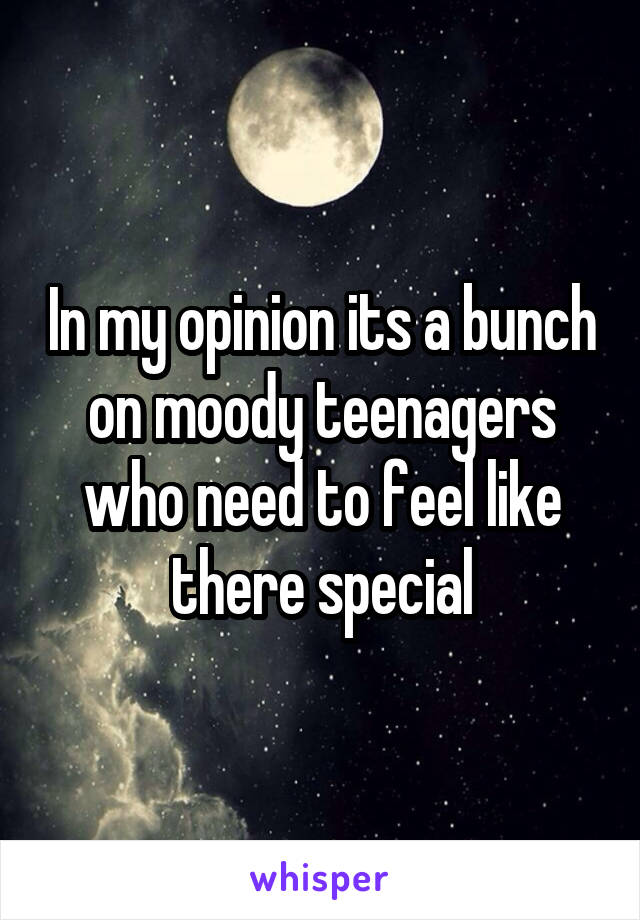 In my opinion its a bunch on moody teenagers who need to feel like there special