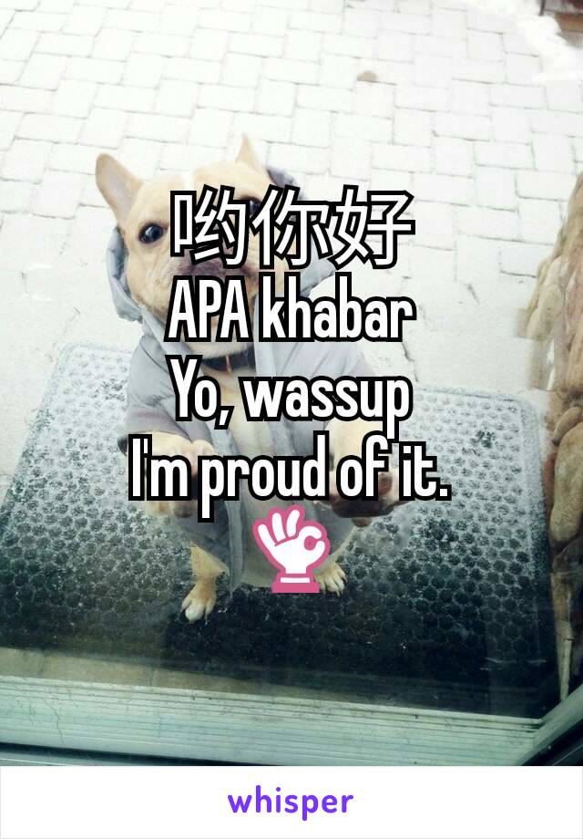 哟你好
APA khabar
Yo, wassup
I'm proud of it.
👌