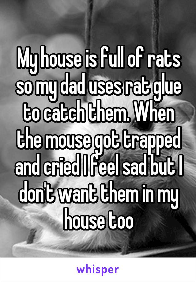 My house is full of rats so my dad uses rat glue to catch them. When the mouse got trapped and cried I feel sad but I don't want them in my house too