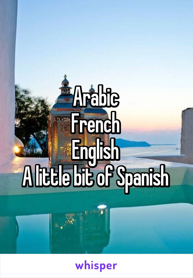 Arabic 
French 
English 
A little bit of Spanish 