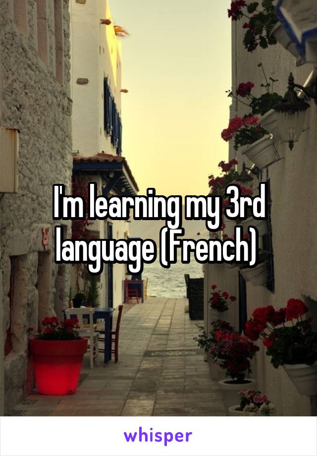 I'm learning my 3rd language (French) 