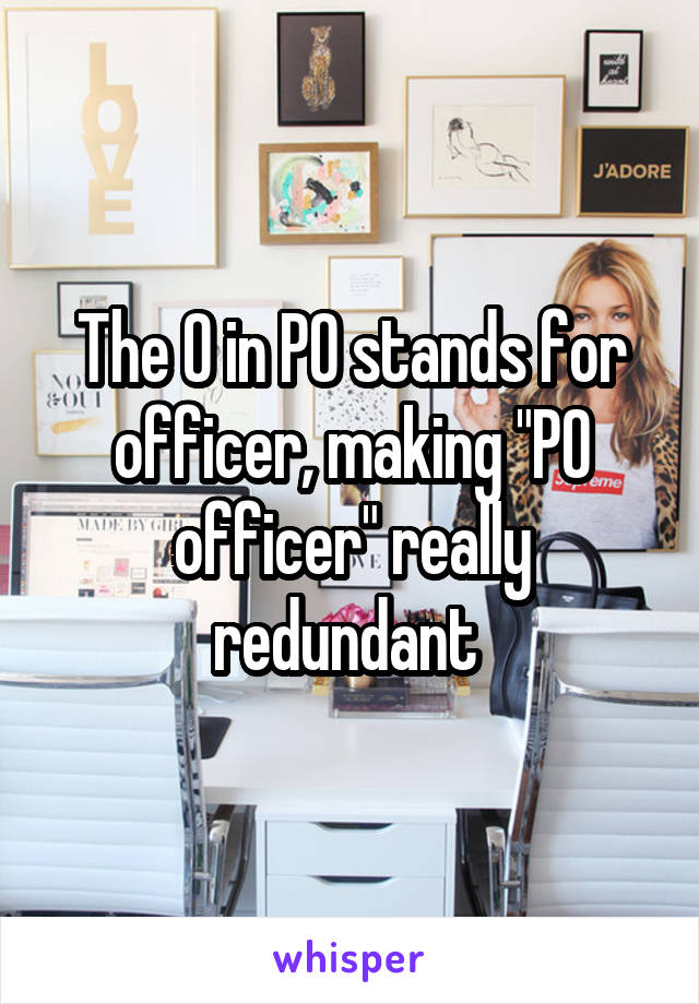 The O in PO stands for officer, making "PO officer" really redundant 