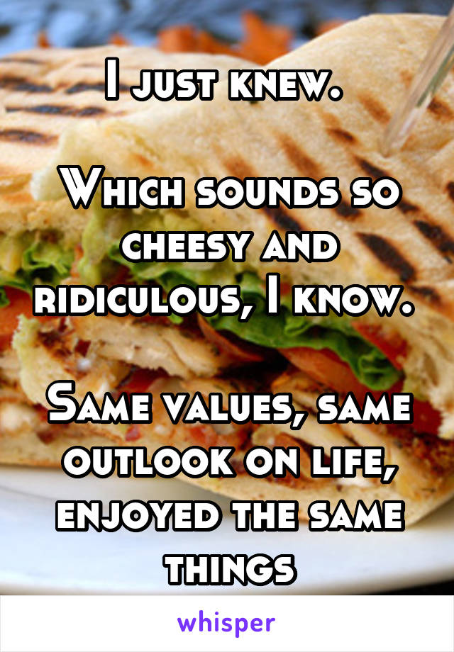 I just knew. 

Which sounds so cheesy and ridiculous, I know. 

Same values, same outlook on life, enjoyed the same things