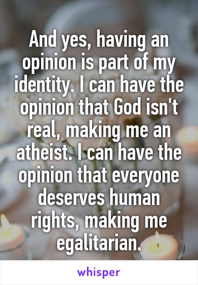 And yes, having an opinion is part of my identity. I can have the opinion that God isn't real, making me an atheist. I can have the opinion that everyone deserves human rights, making me egalitarian.