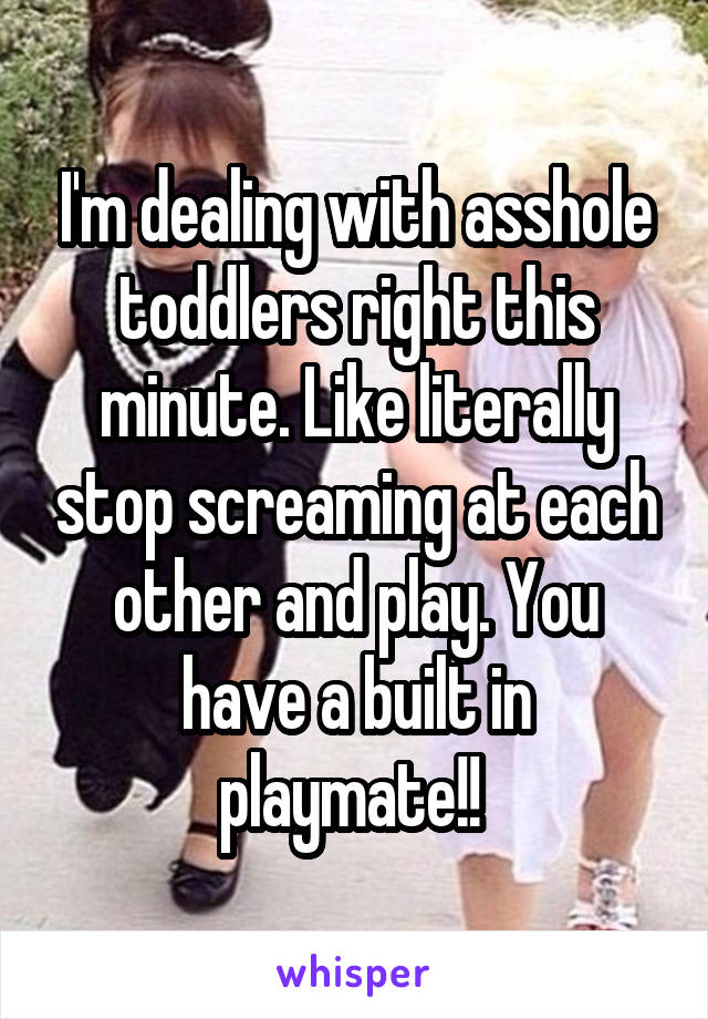 I'm dealing with asshole toddlers right this minute. Like literally stop screaming at each other and play. You have a built in playmate!! 